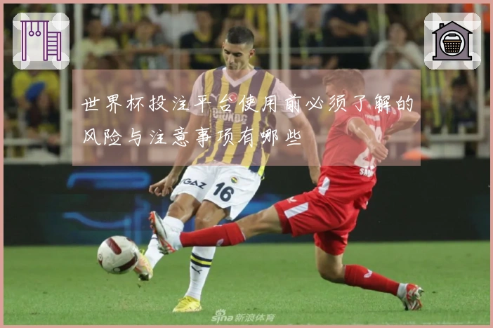 世界杯投注平台使用前必须了解的风险与注意事项有哪些