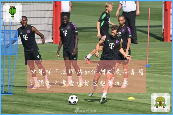 世界杯下注网站如何判断是否靠谱？预测文章告诉你这些要注意