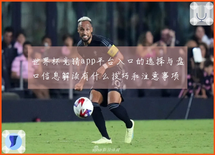 世界杯竞猜app平台入口的选择与盘口信息解读有什么技巧和注意事项